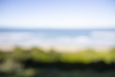 Blurry winter at St Kilda, Dunedin, New Zealand.Photo: Derek Morrison