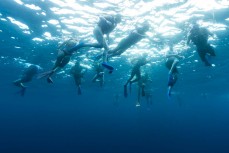 Manta ray tourists at Manta Bay at Nusa Penida, Indonesia.