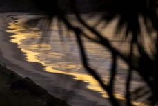 Gold-plated light at St Clair, Dunedin, New Zealand.
Photo: Derek Morrison