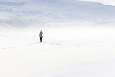 Morning beach walker shares her adventure at St Clair, Dunedin, New Zealand.
Photo: Derek Morrison