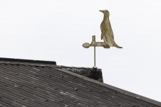 Yellow-eyed penguin weather vane on a building at a remote point break in the Catlins, New Zealand. Photo: Derek Morrison