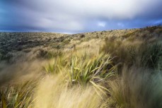 A stormy southwest front blows across Flagstaff and Swampy Summit above Dunedin, New Zealand.Photo: Derek Morrison