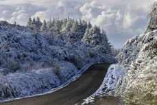 Fresh snow fall coats trees and bush near Flagstaff in the hills above Dunedin, New Zealand.