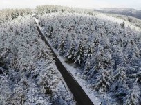 Fresh snow fall coats trees and bush near Flagstaff in the hills above Dunedin, New Zealand.