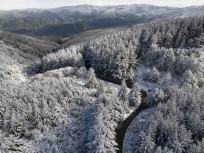 Fresh snow fall coats trees and bush near Flagstaff in the hills above Dunedin, New Zealand.