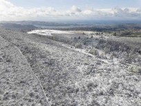 Fresh snow fall coats trees and bush near Flagstaff in the hills above Dunedin, New Zealand.