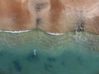 Swimmer at Cable Bay, Northland, New Zealand.