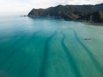 Channels of clear water in the silt-laden waters off Waipiro Bay on the East Cape,, New Zealand.