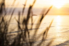 Longboarders enjoy a warm summer evening at Blackhead, Dunedin, New Zealand.
Photo: Derek Morrison