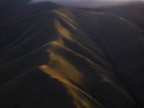 Oteake Conservation Park, Maniototo, Central Otago, New Zealand.