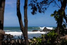 A new swell wraps into south-facing beaches in Wellington, New Zealand.