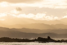 A new swell wraps into south-facing beaches in Wellington, New Zealand.