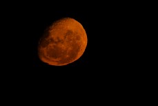 Red moon over St Clair, Dunedin, New Zealand.Photo: Derek Morrison