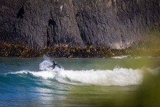 Lewis Murphy at Second Beach, St Clair, Dunedin, New Zealand.Photo: Derek Morrison