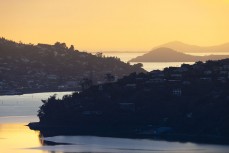 Dawn golds across Otago Harbour, Dunedin, New Zealand.