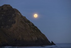 Full moon at Blackhead, Dunedin, New Zealand.Photo: Derek Morrison