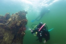 Virginia Watson dives around the wreck of the Othello in Paterson Inlet, Rakiura Stewart Island, New Zealand.Credit: www.boxoflight.com/Derek Morrison