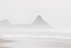 Misty Blackhead, Dunedin, New Zealand. Photo: Derek Morrison
