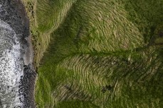 Wrinkled farmland in the Catlins, New Zealand. Photo: Derek Morrison