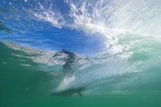 Felipe on a glassy runner during a small punchy swell at St Clair, Dunedin, New Zealand.
Photo: Derek Morrison
