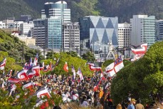 Protestors gather in Waitangi Park ahead of the hīkoi mō te tiriti, Wellington, New Zealand. November 19, 2024.Photo: Derek Morrison