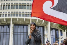 A young supporter waves her flag as the hīkoi reaches parliament grounds during the hīkoi mō te tiriti, Wellington, New Zealand. November 19, 2024.
Photo: Derek Morrison
