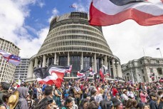 More than 42,000 supporters pack into parliament grounds for the hīkoi mō te tiriti, Wellington, New Zealand. November 19, 2024.Photo: Derek Morrison
