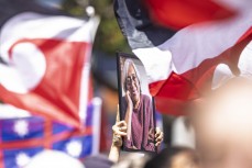 More than 42,000 supporters pack into parliament grounds for the hīkoi mō te tiriti, Wellington, New Zealand. November 19, 2024.Photo: Derek Morrison