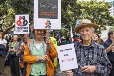 Pakeha friends from Waikanae, Sue Johnston and Dennis Hayes, support the hīkoi during the hīkoi mō te tiriti, Wellington, New Zealand. November 19, 2024.Photo: Derek Morrison