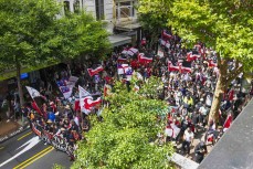 Action on the streets of Wellington during the hīkoi mō te tiriti, Wellington, New Zealand. November 19, 2024.Photo: Derek Morrison