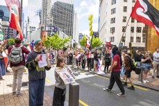 Young supporters line the streets of Wellington during the hīkoi mō te tiriti, Wellington, New Zealand. November 19, 2024.Photo: Derek Morrison