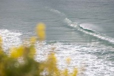 Empty wave at Tomahawk Beach, Dunedin, New Zealand.Photo: Derek Morrison