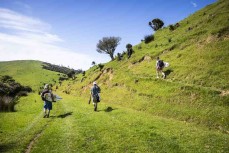 Young surfers (from left) Keo Morrison, Lewis Murphy and Alexis Owen hunt for waves through a remote farm in the Catlins, New Zealand. Photo: Derek Morrison