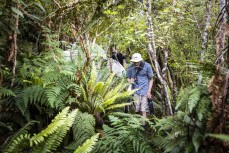 Young surfers (from left) Keo Morrison, Alexis Owen and Lewis Murphy hunt for waves through thick bush in the Catlins, New Zealand. Photo: Derek Morrison