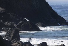 Jump rock during a big swell at Blackhead, Dunedin, New Zealand.