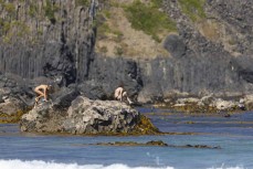 Swimmers at Blackhead, Dunedin, New Zealand.
Photo: Derek Morrison