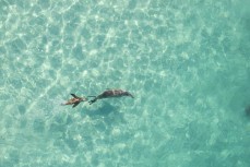 Paige with her pup swimming at Blackhead, Dunedin, New Zealand.