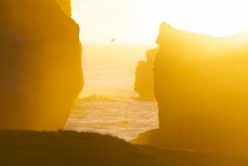 Sunrise on the Otago coastline, Dunedin, New Zealand. Photo: Derek Morrison