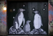 Artwork in No Name Alley, Dunedin, New Zealand. Photo: Derek Morrison