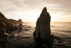 Pillar at Karitane, Otago, New Zealand. Photo: Derek Morrison