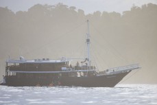The Mahogany in the Mentawai Islands, Sumatra, Indonesia.