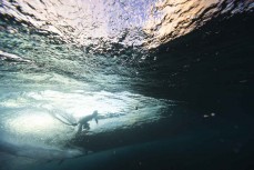 Brett Wood with his hand in the wall at a reefbreak in the Mentawai Islands, Sumatra, Indonesia.