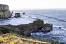 Singer songwriter Bill Morris at Tunnel Beach, Dunedin, New Zealand.Photo: Derek Morrison 