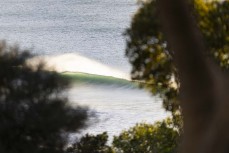 Morning glow as peaks wander in at a remote beach break in the Catlins, New Zealand. Photo: Derek Morrison