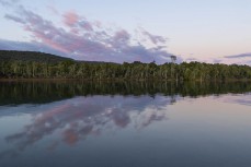 The forest meets the sea at Papatowai in the Catlins, New Zealand. Photo: Derek Morrison