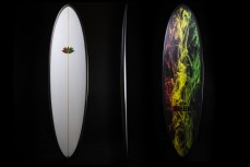 Seer's new Highline with rasta smoke design at St Clair, Dunedin, New Zealand.Photo: Derek Morrison