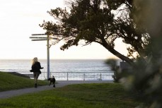 Dallas and Indie walking at dawn at St Clair Beach, St Clair, Dunedin, New Zealand.