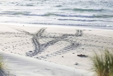 Sea lion tracks on a summery morning at Smaills Beach, Dunedin, New Zealand.