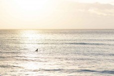 Dawn surfers at St Clair Beach, St Clair, Dunedin, New Zealand.