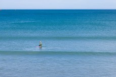 A summer's day at Lyall Bay in Wellington, New Zealand.